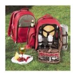 picnic backpack