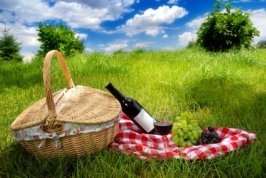 romantic picnic 